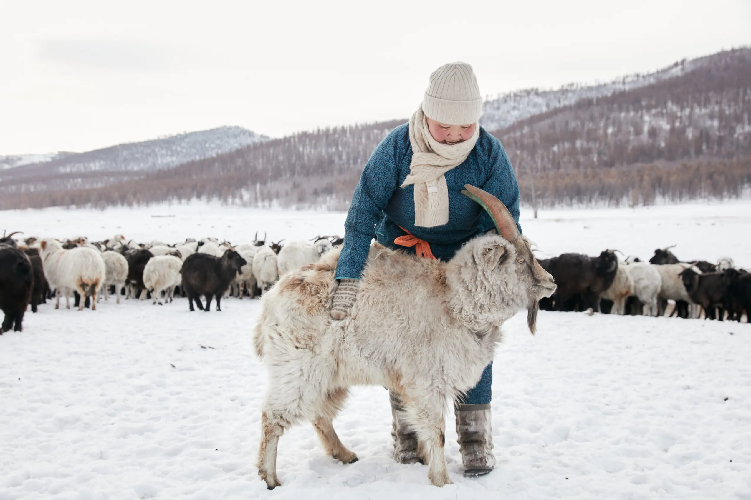 a mongolian woman holding onto a goat
