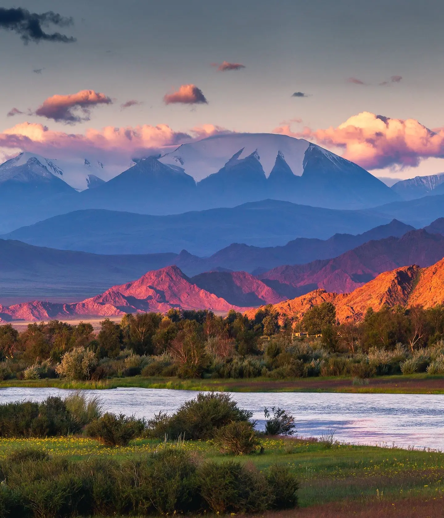 gobi-mongolian-cashmere