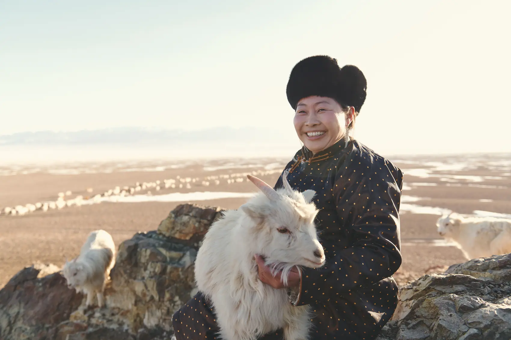 Gobi cashmere