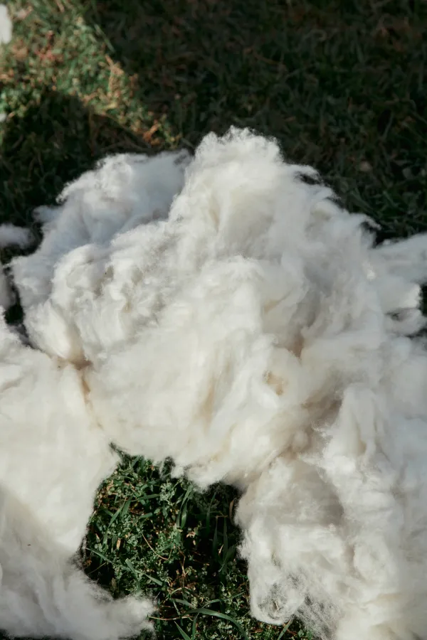 Cashmere Vs Pashmina: Know The Difference