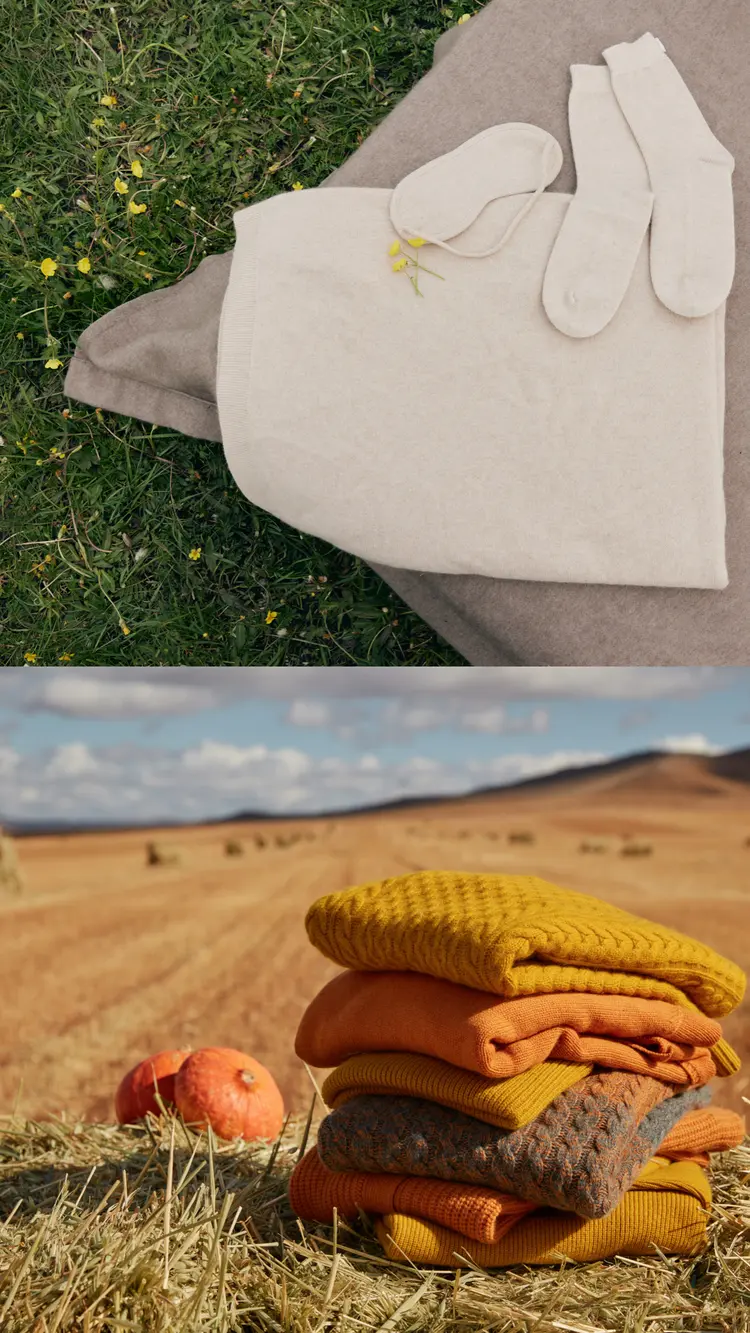 Gobi cashmere