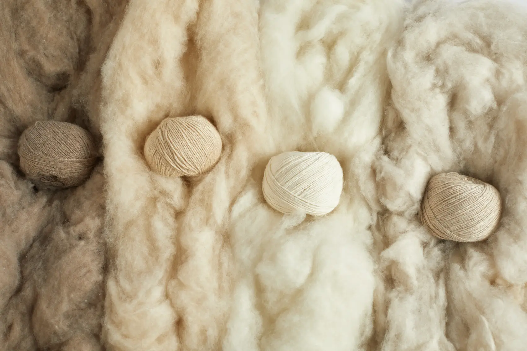 Gobi cashmere