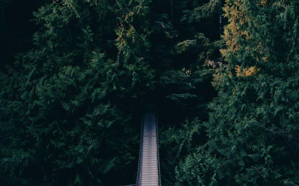 In-Demand Tech Jobs for the Future