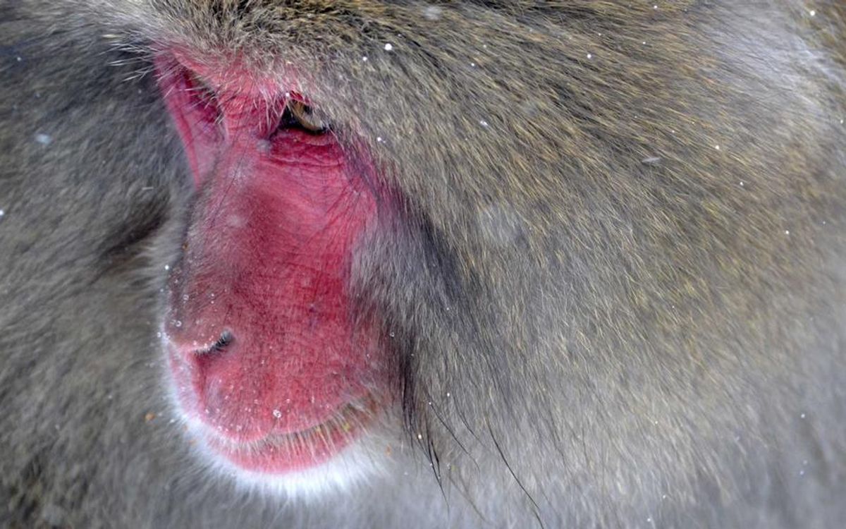 Fostering Entrepreneurial Growth Through Strategic Partnerships