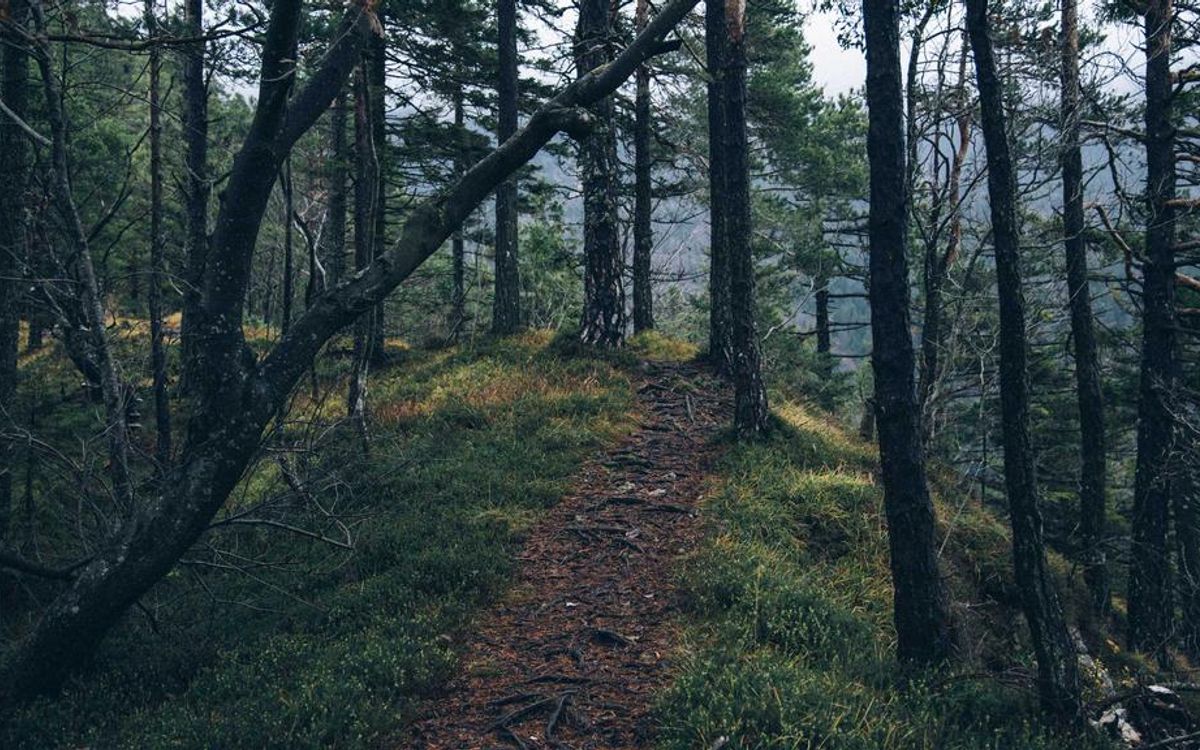 Choosing the Right Crypto Wallet