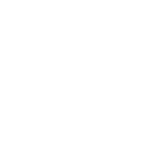Avvo Top Attorney Litigation 10.0 Rating Badge