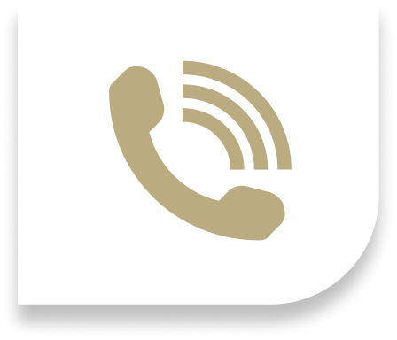Phone Icon
