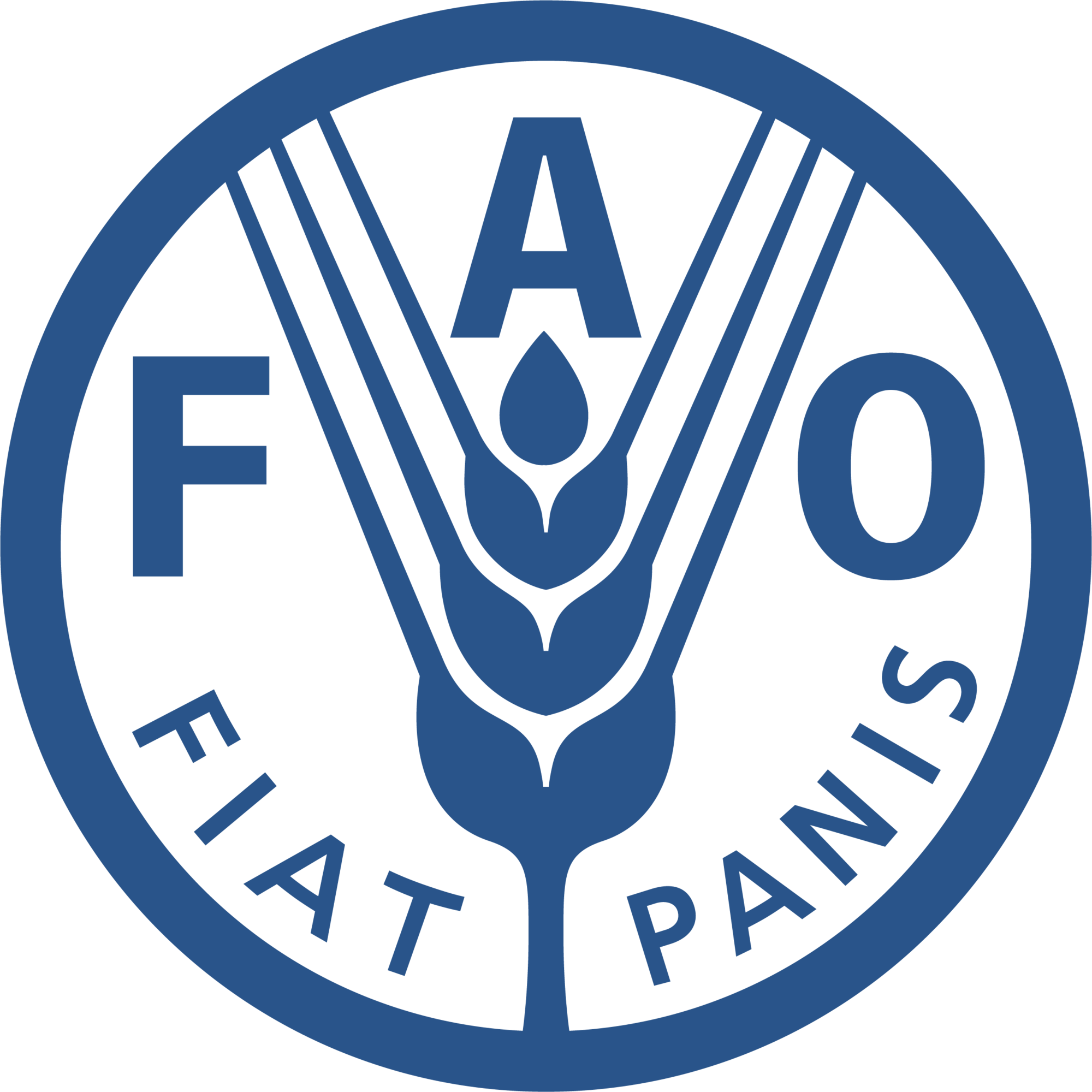 FAO logo
