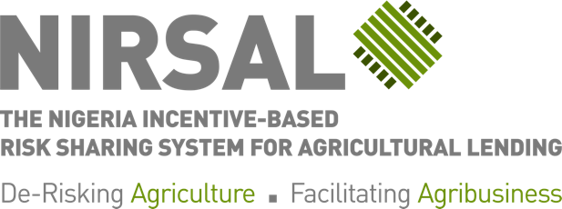 Nigeria Incentive-Based Risk Sharing System for Agricultural Lending (NIRSAL Plc) logo
