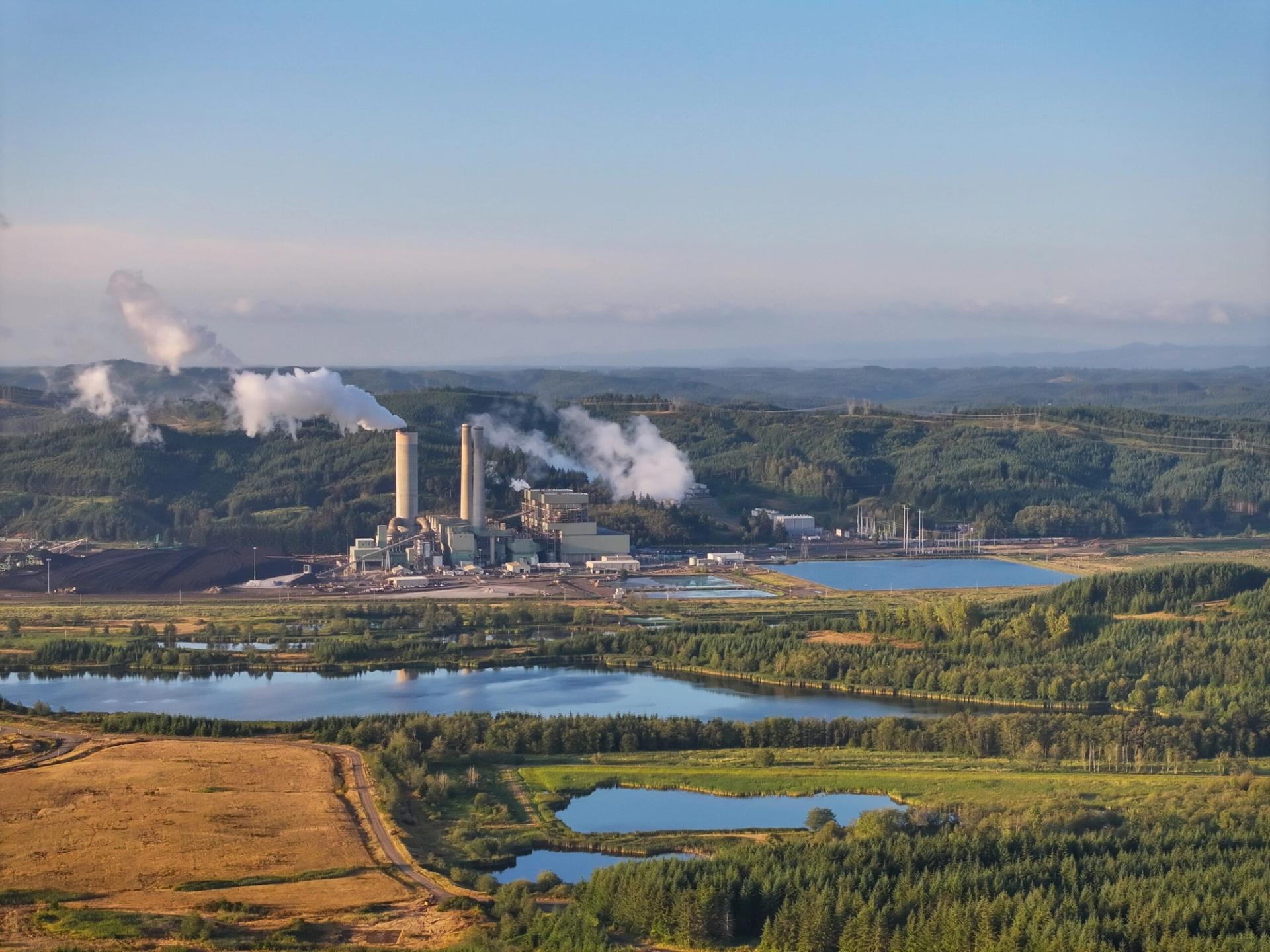 Centralia Generation, Washington, United States
