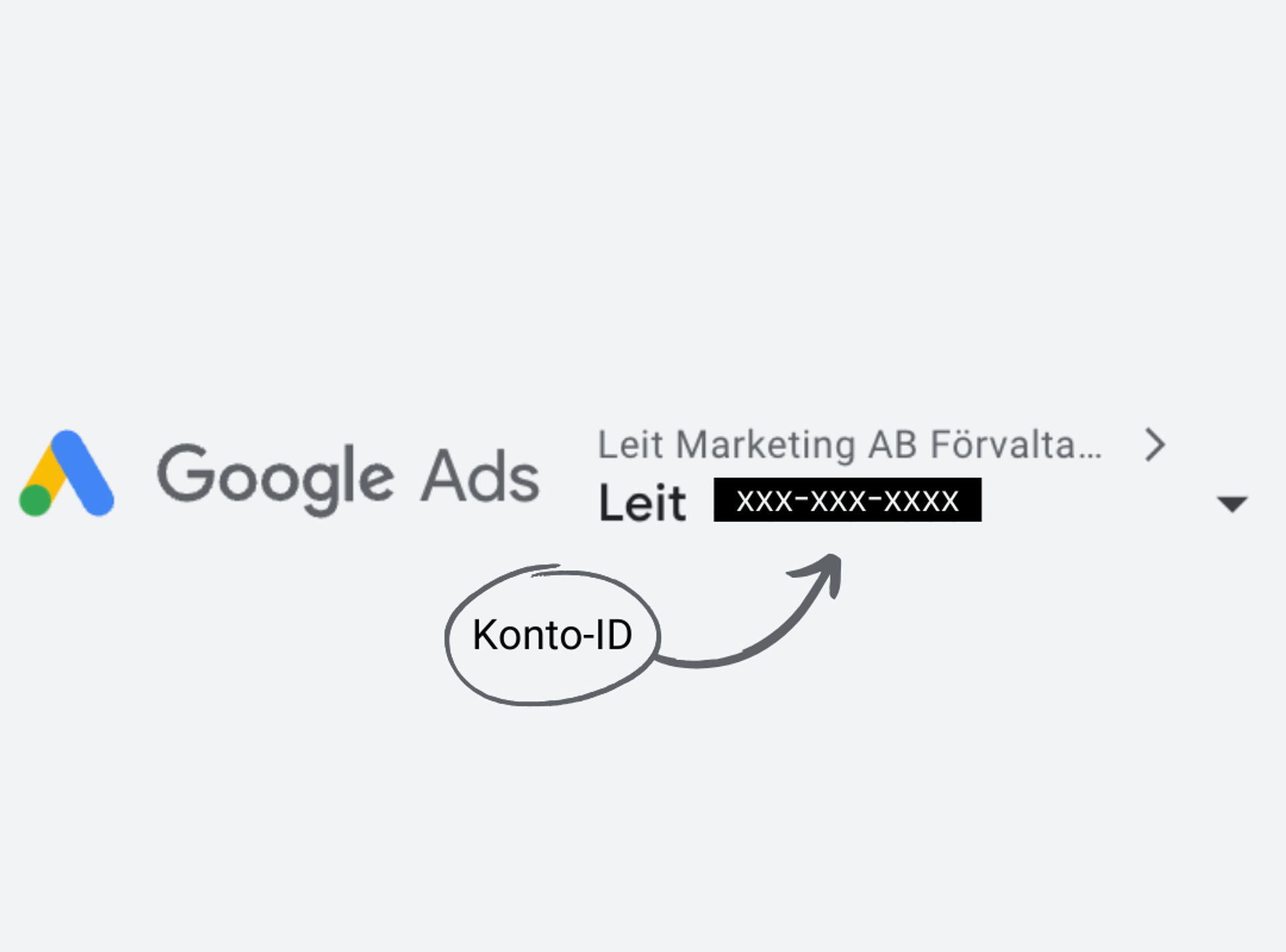 Google Ads ID