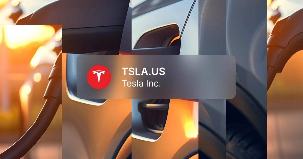 전기차 충전 현황과 TSLA 시장 데이터를 중첩하여 보여주는 테슬라 주가 분석