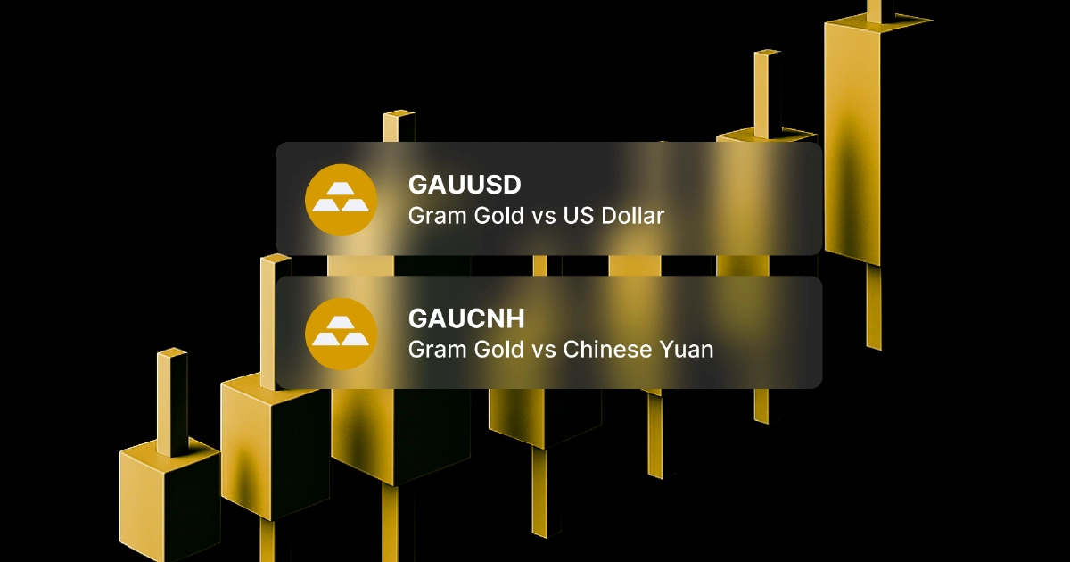 금 거래자들을 위한 금 외환 차트 예시: GAUUSD 및 GAUCNH 상품