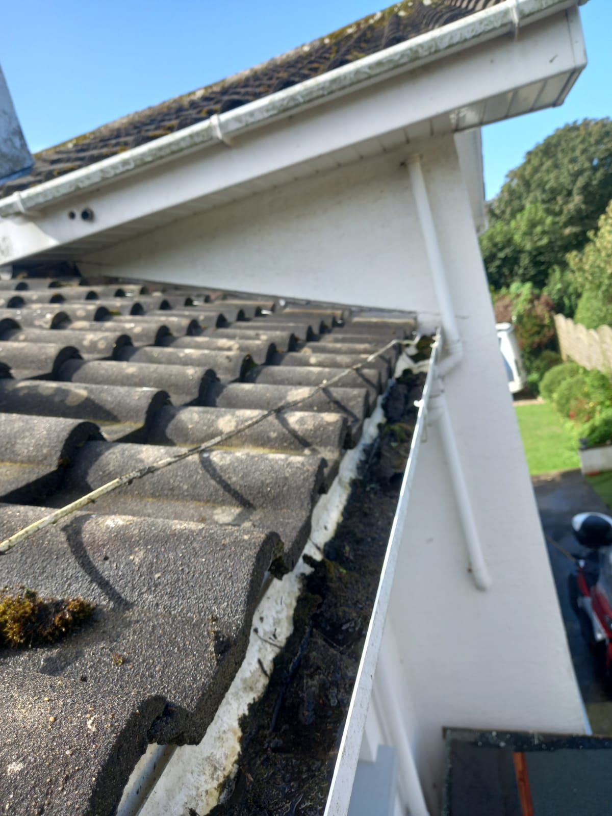 Close up of clean roof and gutter on a local home