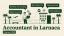 Accountant in Larnaca: Expat Guide [2026]