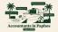 Accountant in Paphos: Top Firms from EUR 100/month