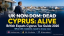 British Expats Tax Savings: Cyprus Non-Dom [2026]