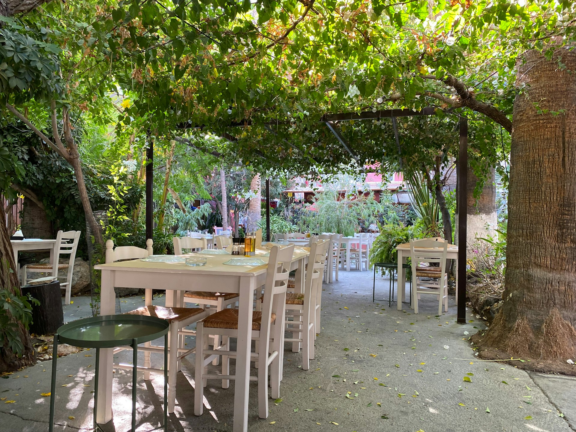 Outdoor dining on Mediterranean terrace showcasing Cyprus lifestyle