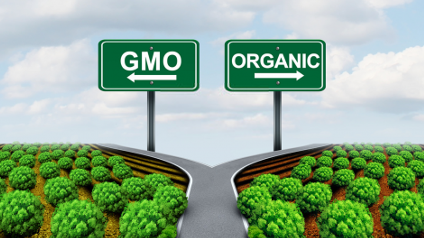 A picture of GMO vs. Organic with a fork in the road - showcasing the decisions people might purchase when thinking about their health and "intangibles".