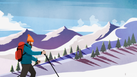 A picture of a man with an orange hat cross country skiing in the mountains with trees in the background.