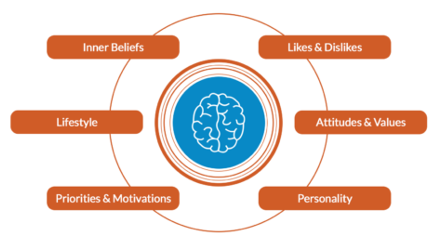 a 6 trait breakdown diagram in orange that explains what psychographic segmentation is and the understanding behind it. THere's a brain in the middle of the diagram