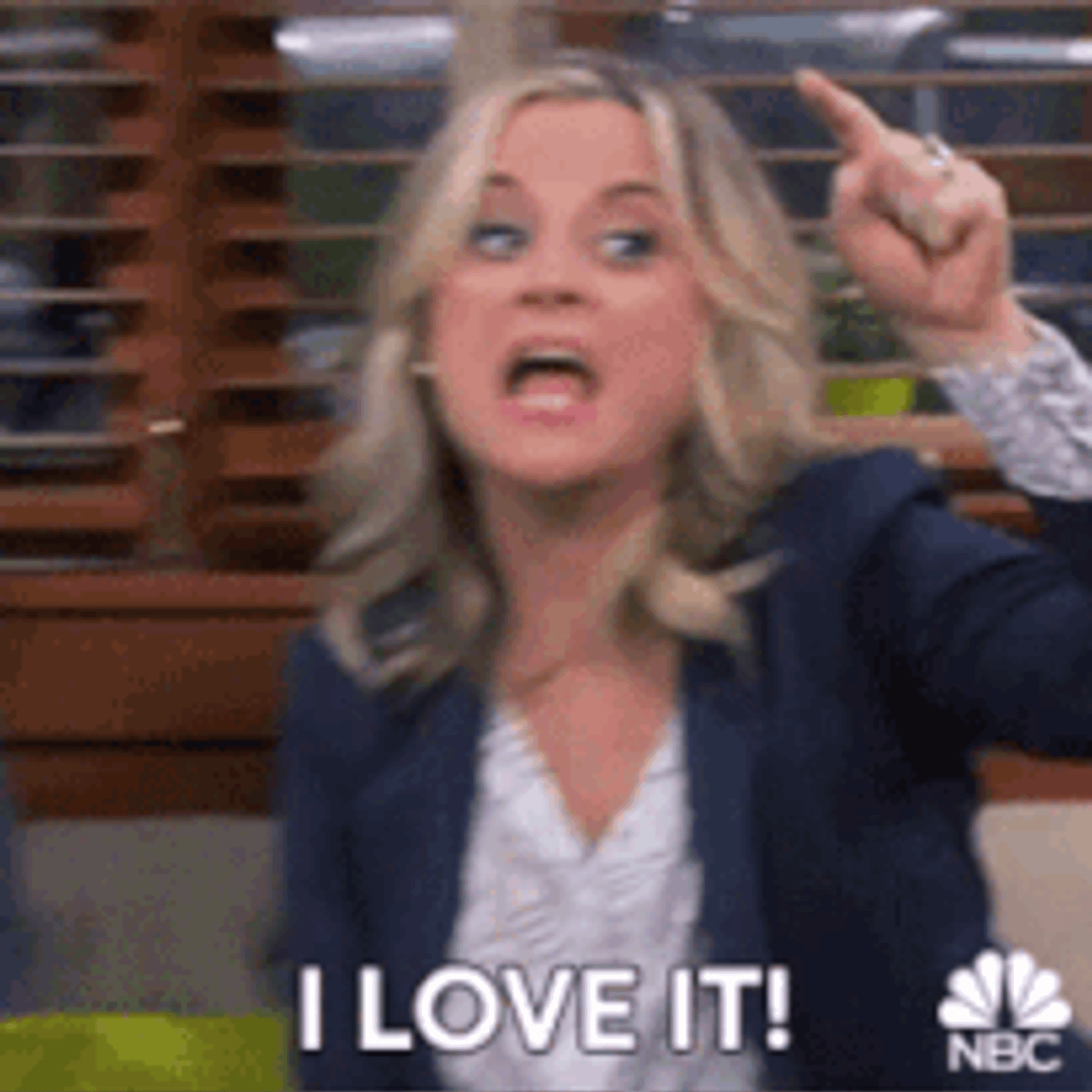 Amy Poehler gif