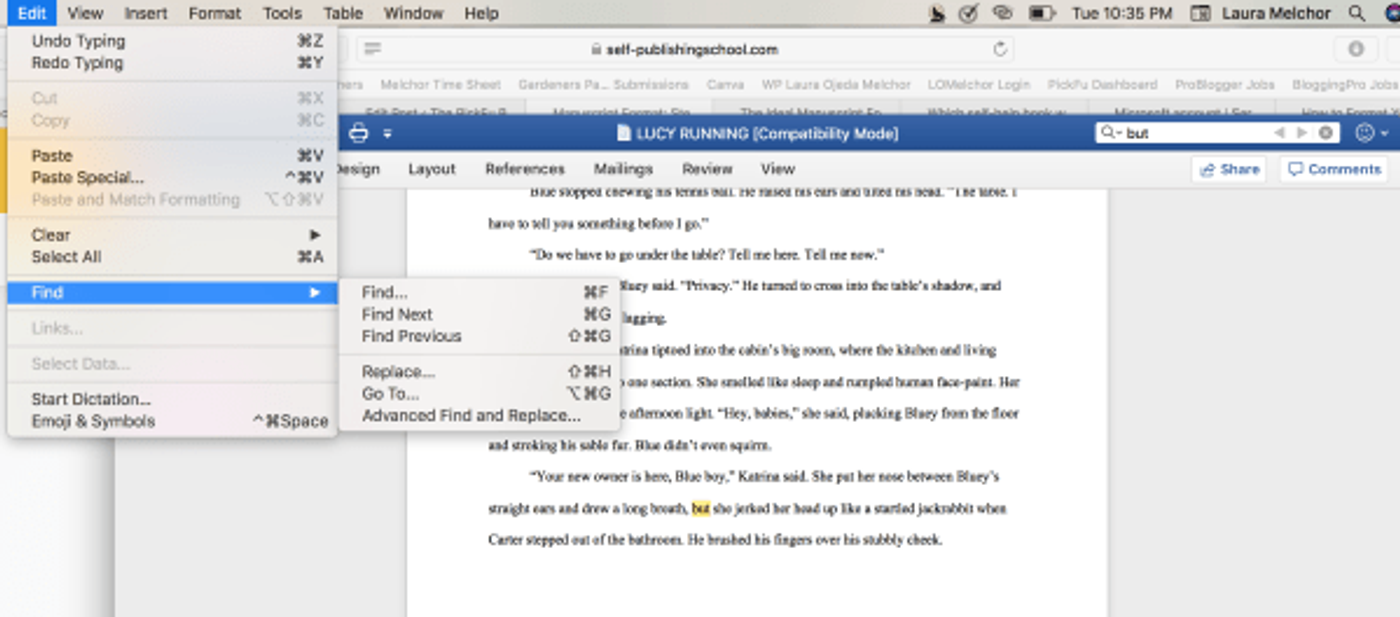 Microsoft Word Find and Replace dialog