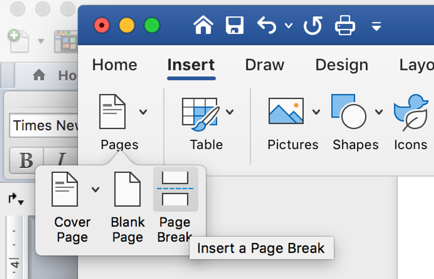 Microsoft Word Insert tab with the Page Break button highlighted