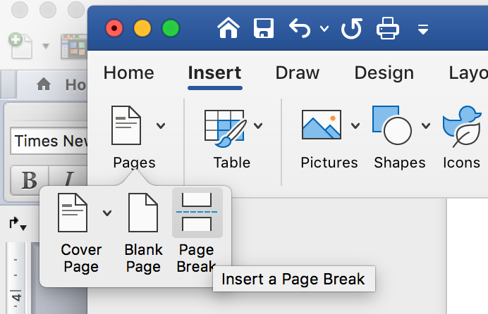 Microsoft Word Insert tab with the Page Break button highlighted