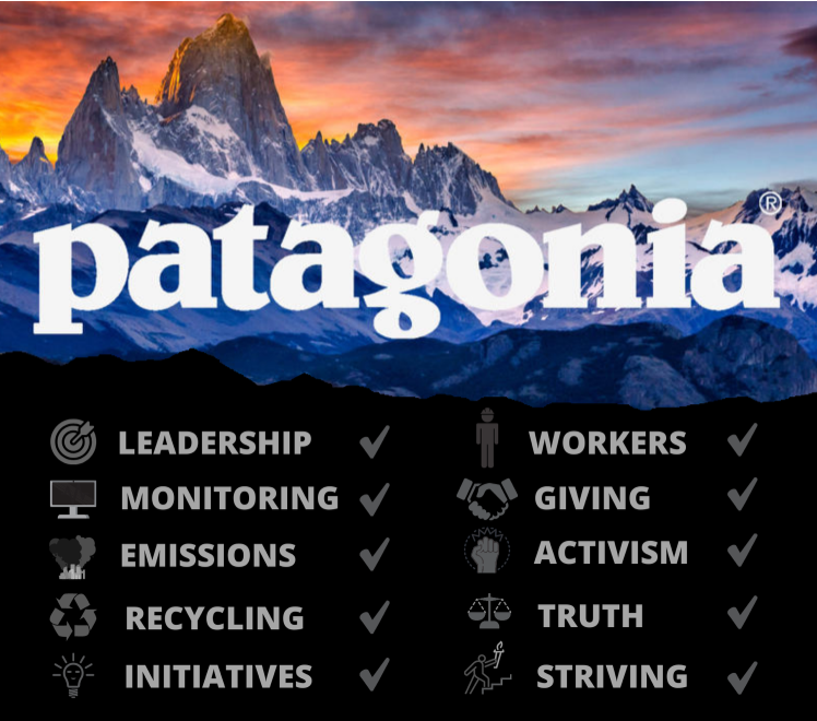 Biggest branding mistakes: A Patagonia ad presenting the company's values.