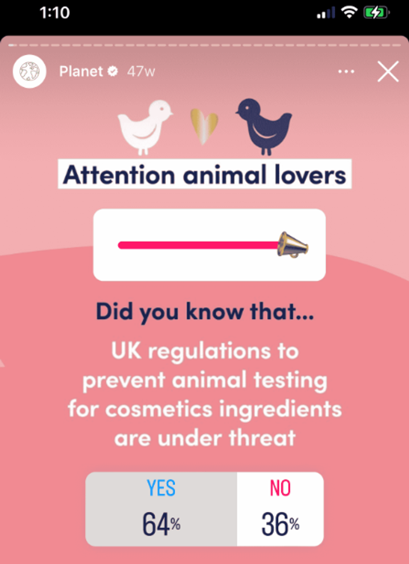 poll-on-instagram-about-animal-abuse