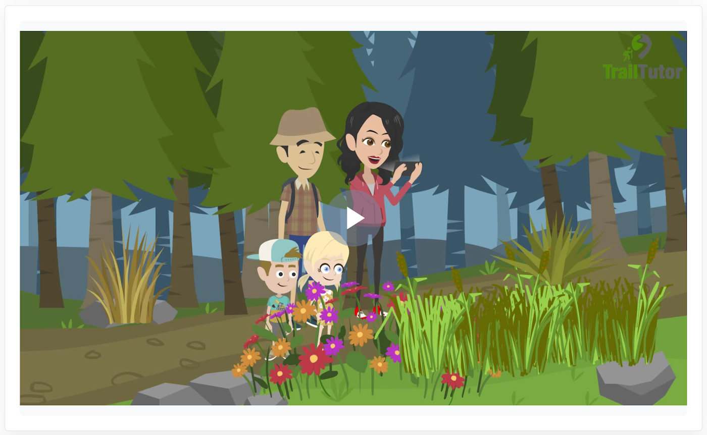 Screenshot of a video
