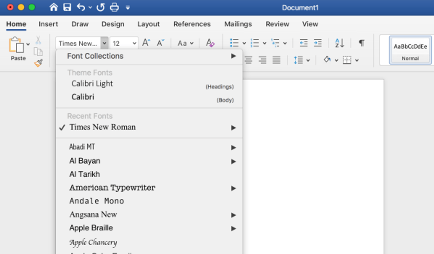 Microsoft Word font menu with Times New Roman selected