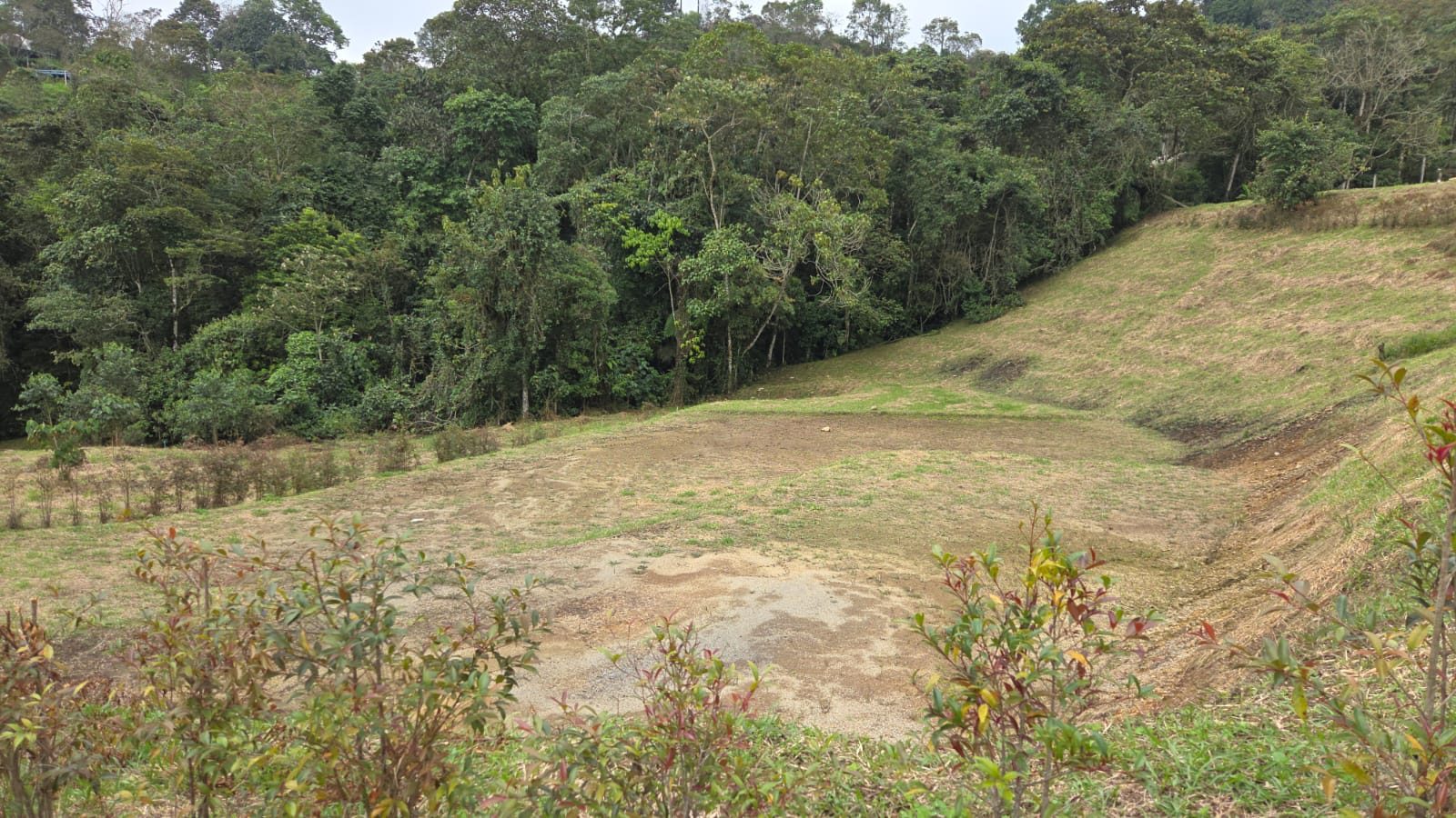 Etapa 1 • Lote 11 | Bosque Azul Campestre