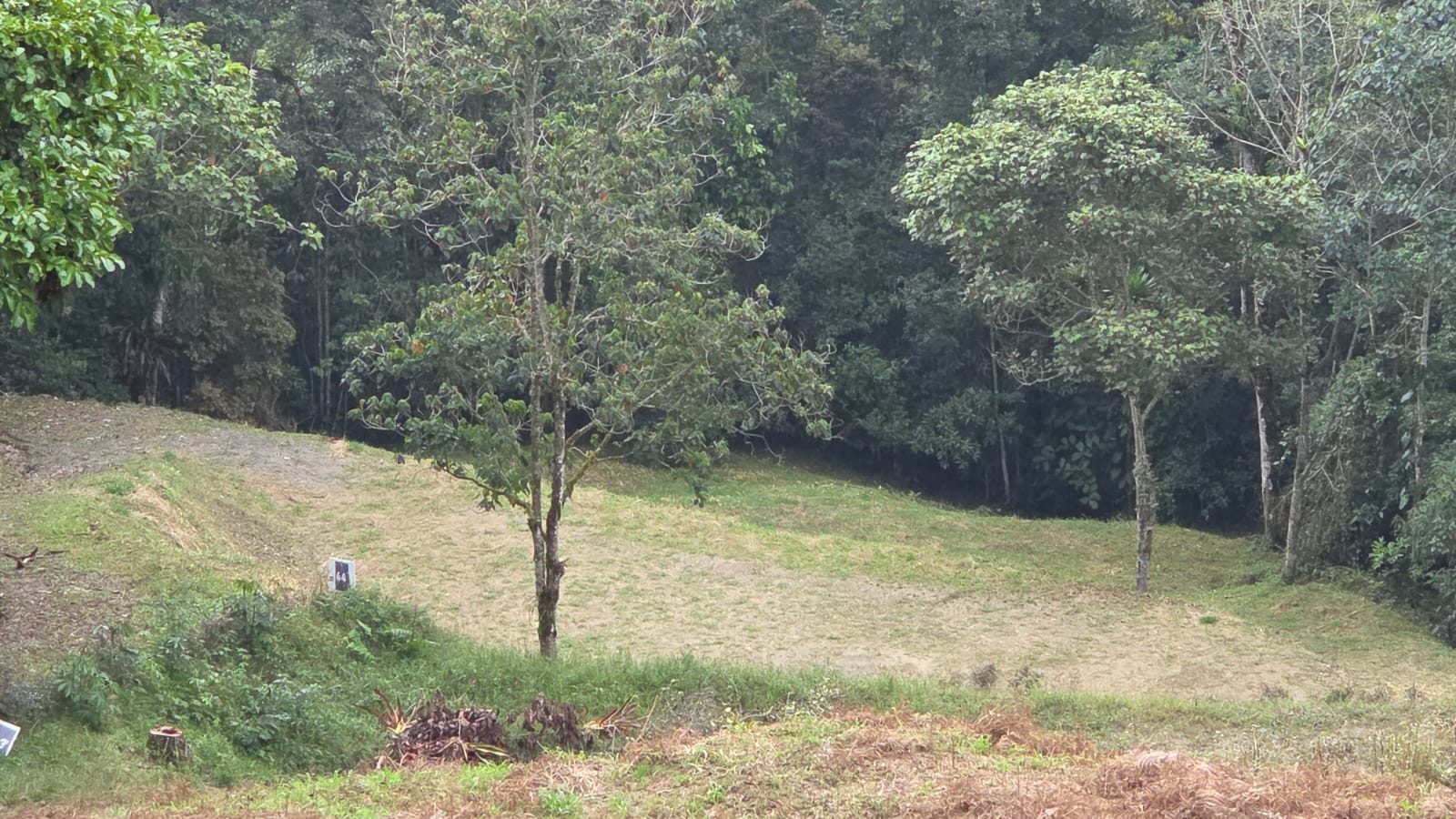 Etapa 1 • Lote 44 | Bosque Azul Campestre