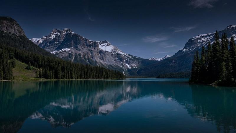 AI Agents vs Traditional Automation: What's Right for Your Business