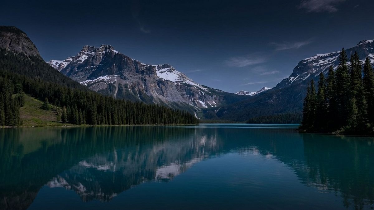 AI Agents vs Traditional Automation: What's Right for Your Business