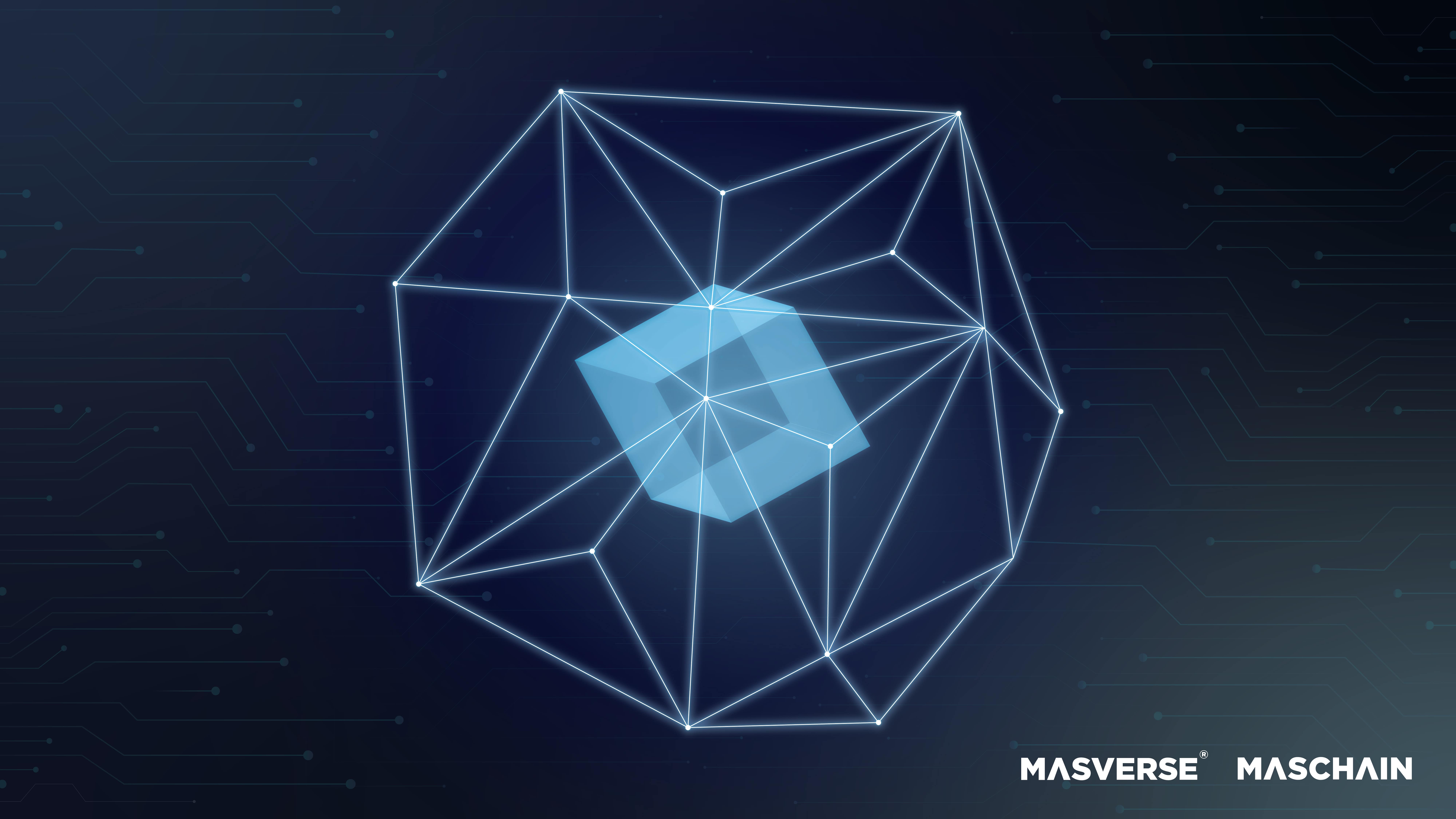 What is a Public-Permissioned Blockchain? 