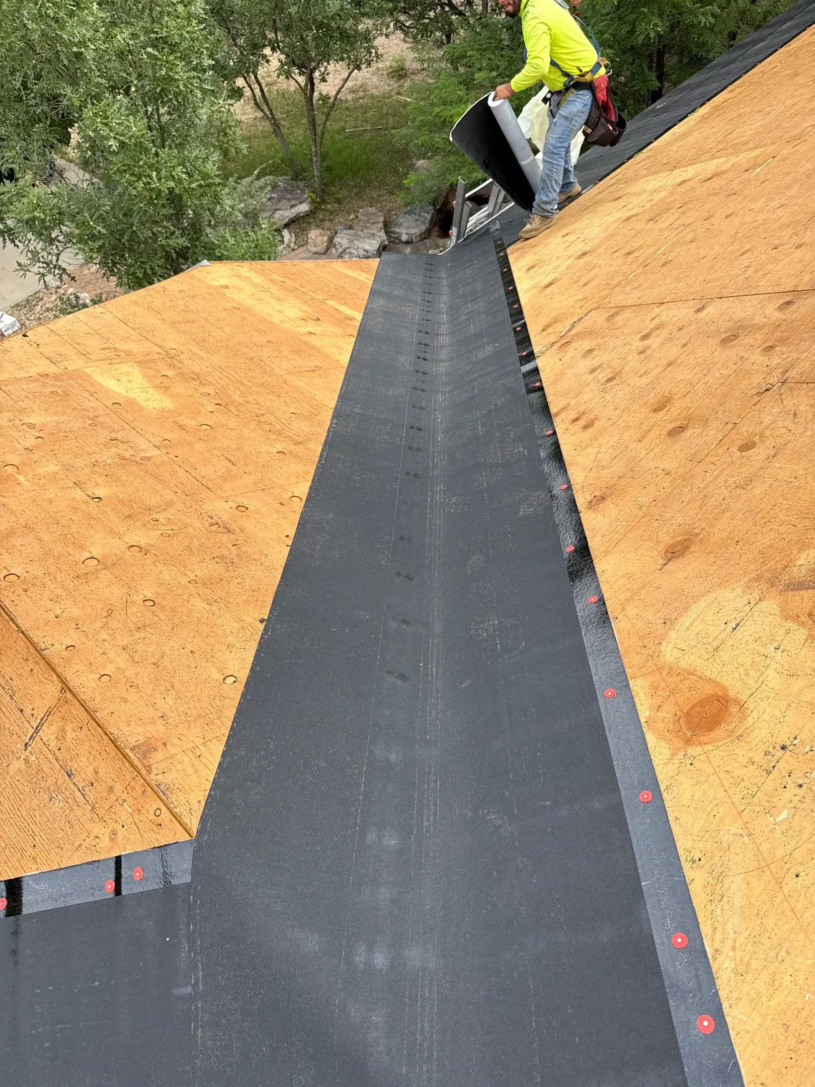 Roof and Gutter Replacement Work for House and Barn in Sedalia, CO