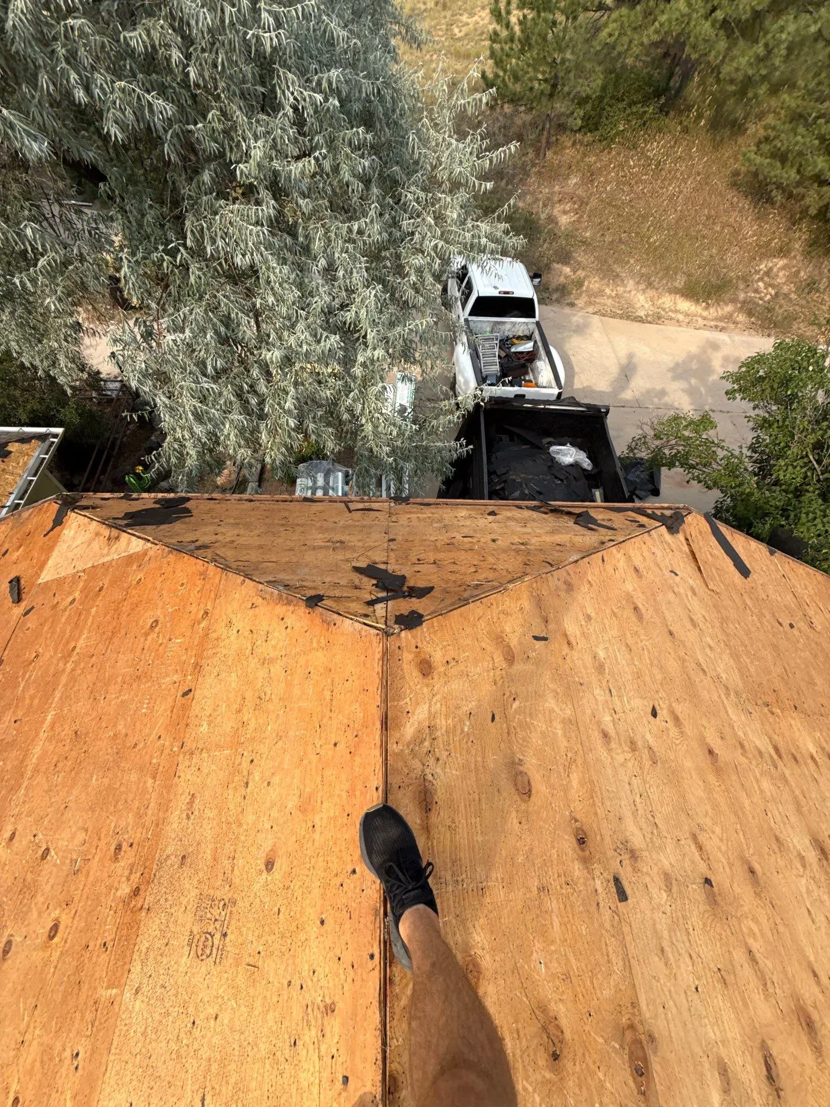 Roof and Gutter Replacement Work for House and Barn in Sedalia, CO