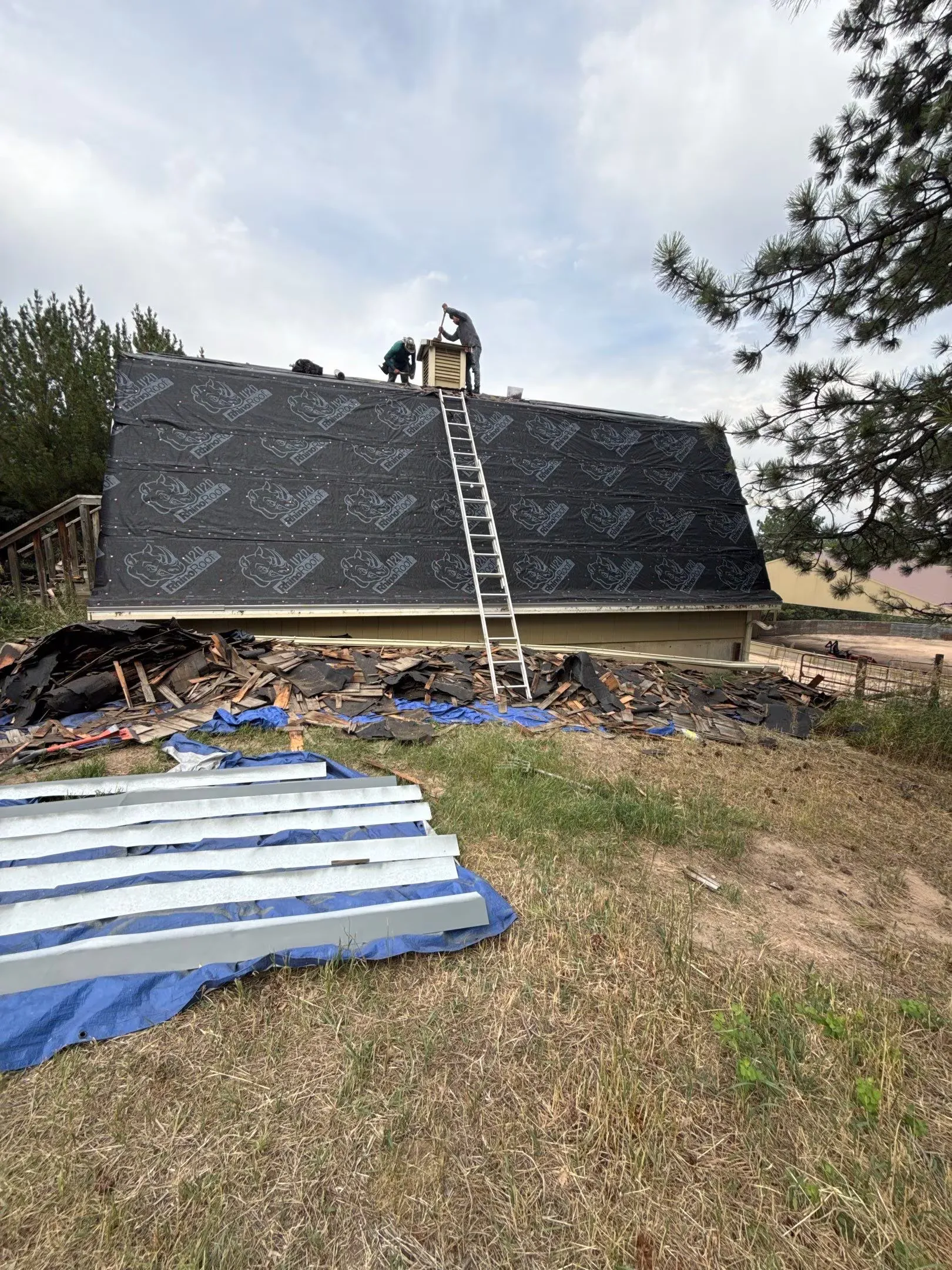 Roof and Gutter Replacement Work for House and Barn in Sedalia, CO