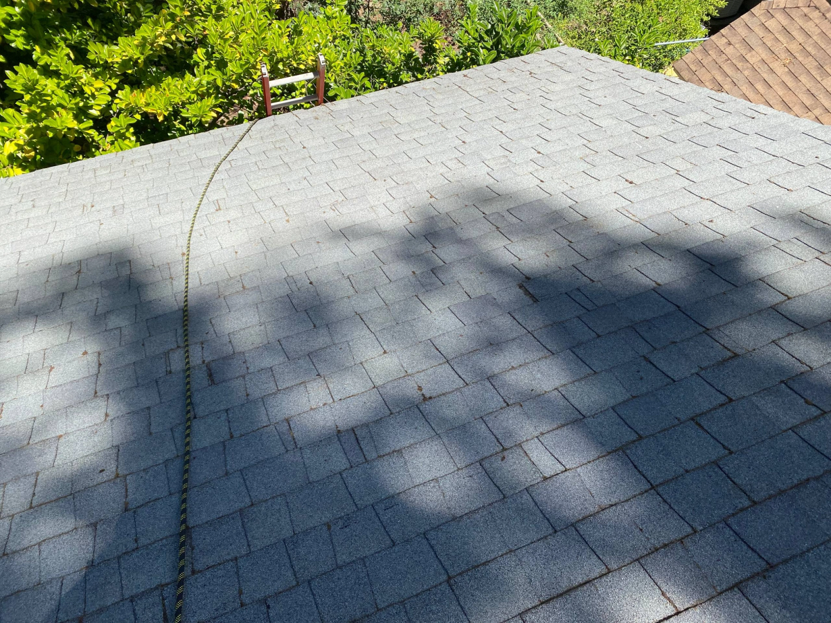Moss removed from a roof