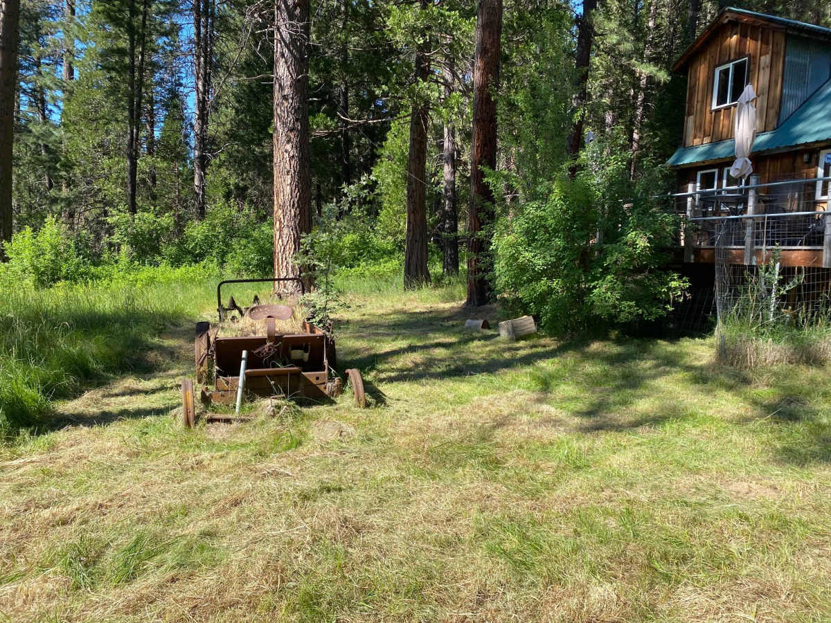 Mowed lawn in Butterfly Valley from 5ft tall grass