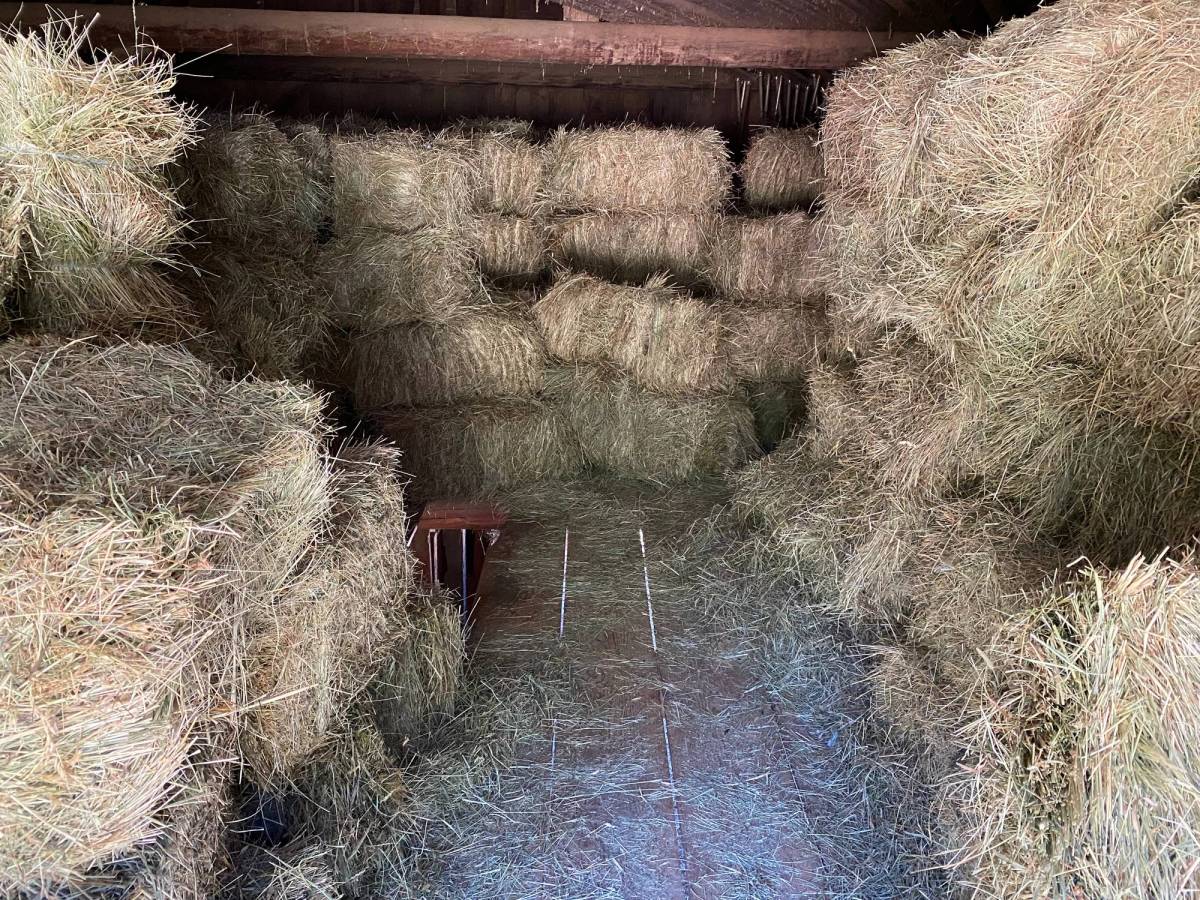Hay stacked in a Meadow Valley barn