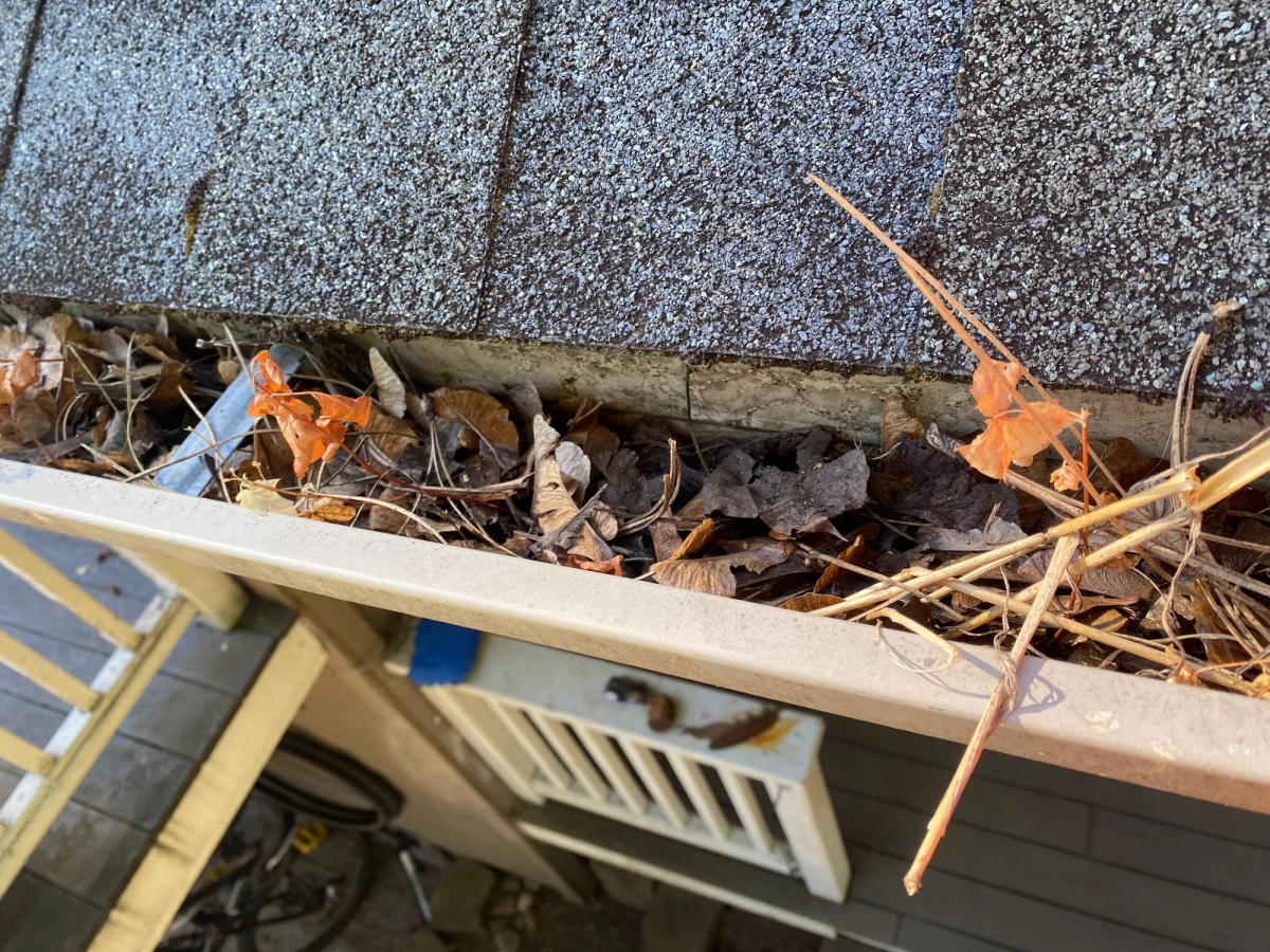 Gutters cleaned out in Quincy, before