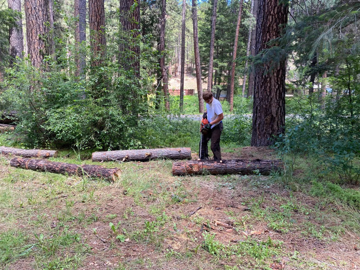 Bucking logs to be taken off the property