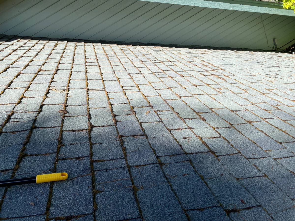 Before and after of moss removed from a roof, before