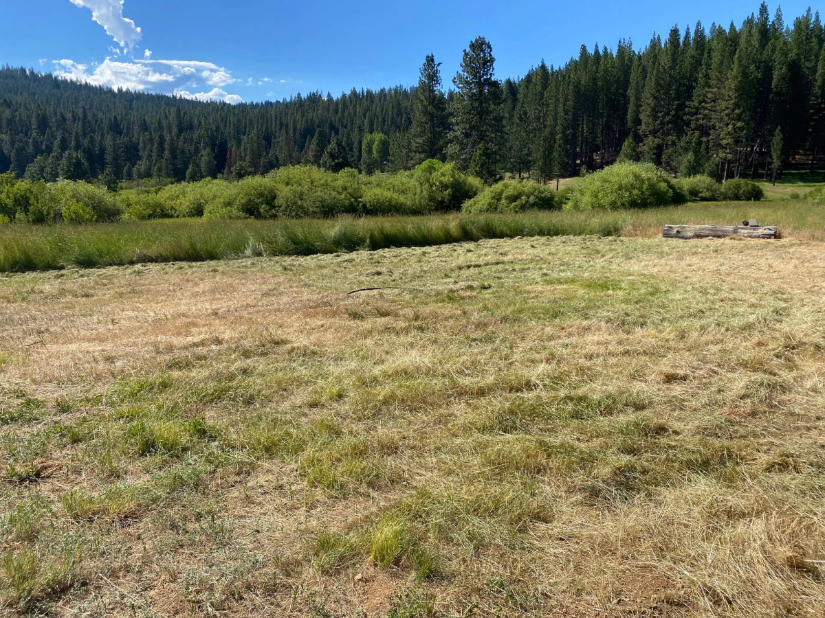 Mowed field in Butterfly Valley, after