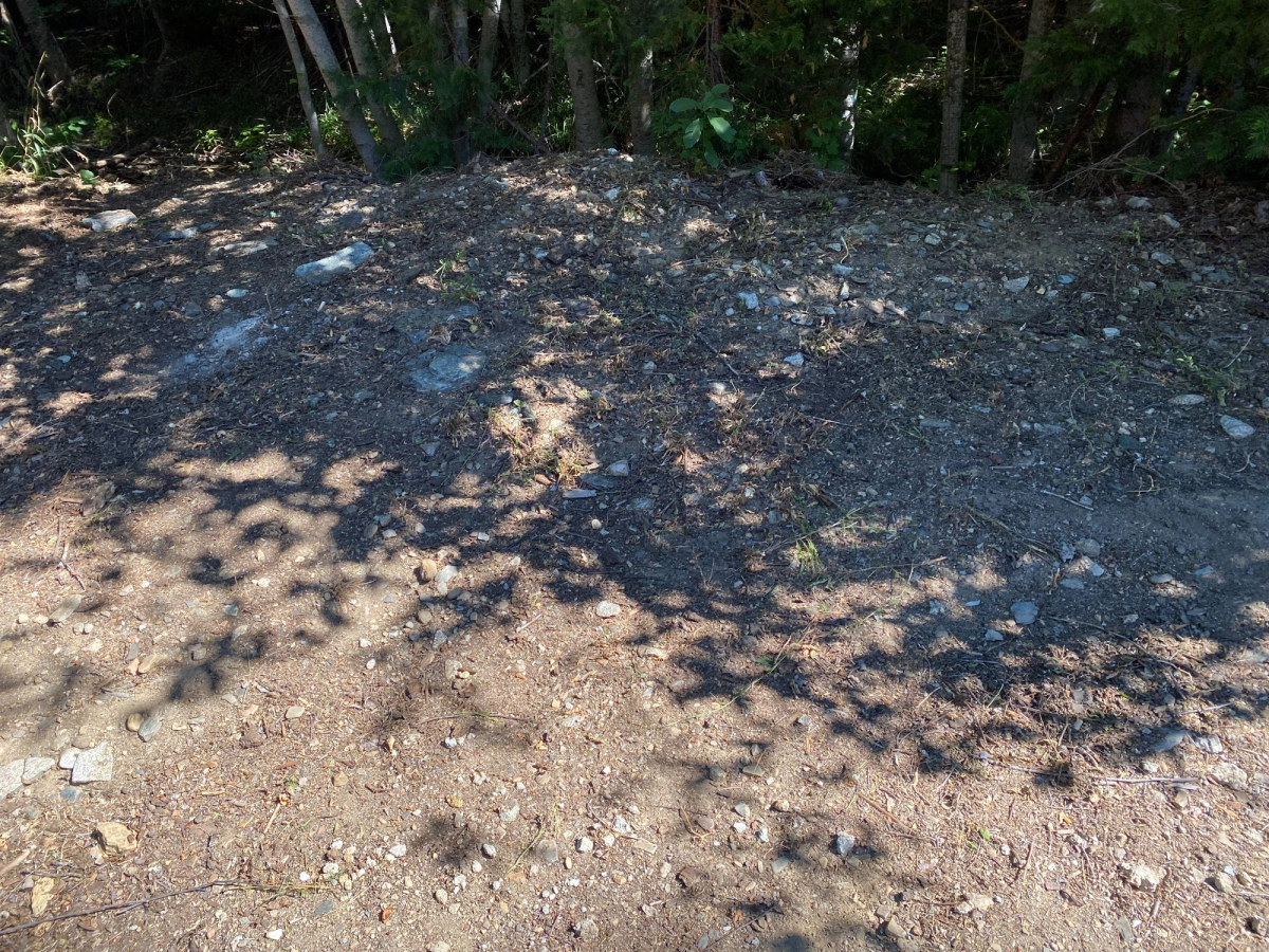 large branch chopped up then taken to dump and area cleaned for a client near Bucks Lake, after