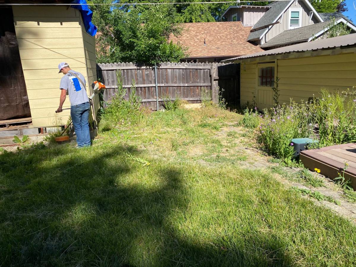 Overgrown Quincy lawn before and after our mowing, before